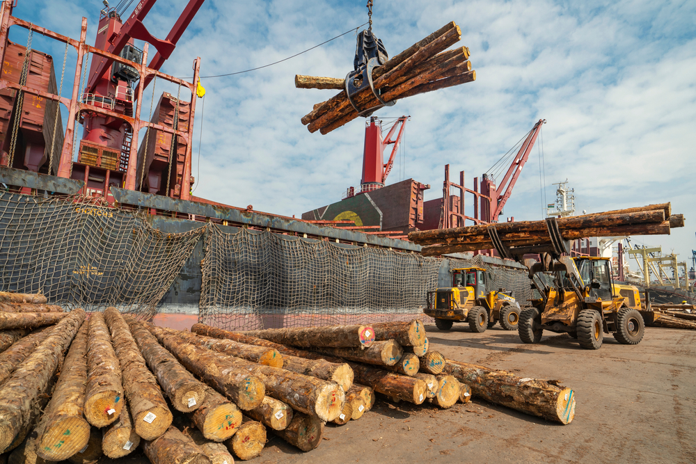 logging